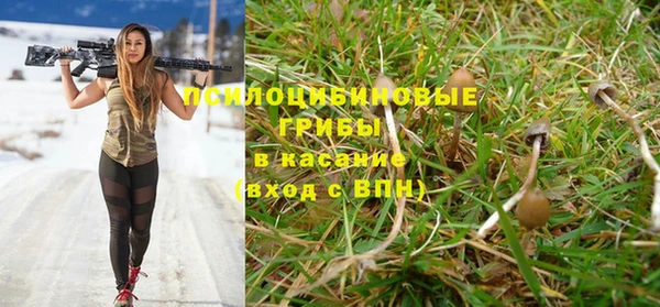 твердый Сосновка